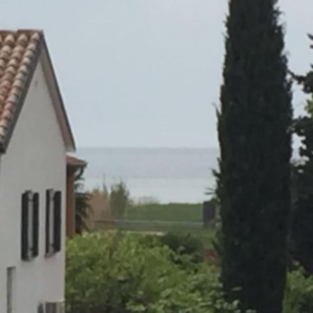 Apartment, 200M From Sea Brtonigla Dış mekan fotoğraf
